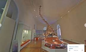 Resultado de imagem para museu nacional google tour virtual
