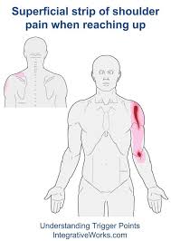 Pin On Neck Stretches