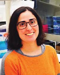 Ataxia Research Studies Awarded Funding for FY 2016