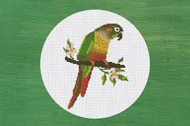 Cross Stitch Pattern Green Cheeked Conure Instant Download