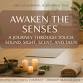 Awaken the Senses: Mini Wellness Retreat — Rooted event image