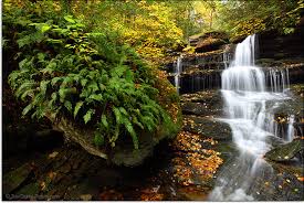 If you have the budget for it, i strongly recommend the canon 24mm f/1.4l ii lens. The Best Canon Wide Angle Lens For 2021