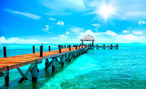 כלומר, לסייע למורים לקבל תמונה על הידע של תלמידיהם בנושא הנלמד במהלך השיעור באמצעות אבחון ממוחשב. N12 ×™×©×¨××œ×™ ×'×Ÿ 37 ×˜×'×¢ ×œ×ž×•×•×ª ×'×ž×§×¡×™×§×•