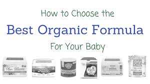 Your Ultimate Guide To Choosing The Best Organic Formula