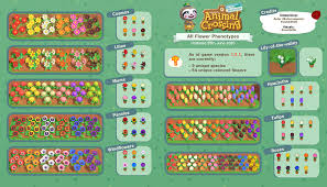 Acnh News On Twitter In 2020 All Flowers Flower Guide Animal Crossing