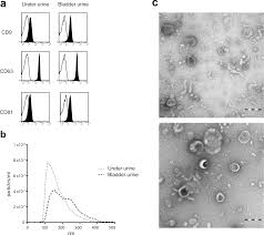 These are cancer awareness colors that are recognized by different local and international organizations. Urinary Exosomes From Bladder Cancer Patients Show A Residual Cancer Phenotype Despite Complete Pathological Downstaging Scientific Reports