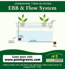 Ebb And Flow Grow Bed System Hydroponics System Aquaponics Hydroponics