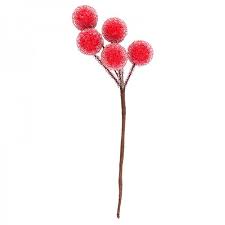 Dieser raureif ist gewollt und wurde in der produktion so auf die beeren aufgetragen. Deko Zweige Rote Beeren 1 15cm Lang 4 Stuck Sonstige Deko Zweige Zweige Floristik Deko Geschenkartikel Ideen Mit Herz