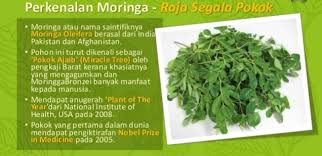 Dikenali sebagai 'pokok ajaib' kerana khasiatnya yang mengagumkan dan memberi banyak moringa mengandungi vit a, b1, b2, b3, c, kalsium, potasium, besi, zink, kronium, tembaga. Raja Segala Pokok Nama Famili Moringa Penang Seller ÙÙŠØ³Ø¨ÙˆÙƒ