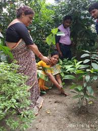 বিদ্যালয়ে অরণ্য সপ্তাহ পালন করা হলো,বিদ্যালয়ে বৃক্ষরোপণ করা হলো এবং  ছাত্রীদের মধ্যে চারা গাছ বিতরণ করা হলো।