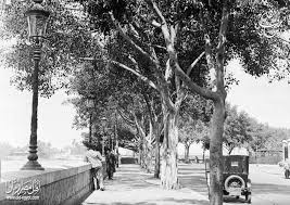 كورنيش النيل في جزيرة الزمالك بالقاهرة سنة 1936 Old Egypt Egyptian History Egypt History
