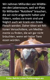 Vegane Ernahru Ernahru Krebe Vegane In 2020 Veganer Humor Veganer Zitate Vegetarier Zitate