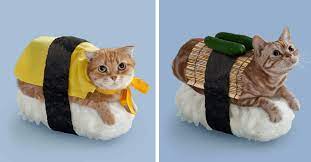 Funny image, photos, photoshop funny. I Can Has Cheezburger Photoshopped Funny Animals Online Cheezburger