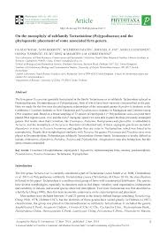 Image result for Tectaria fernandensis