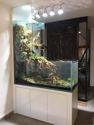 Planted Aquarium Aquarium Design Aquarium Home Aquarium