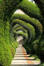 Love This I Wonder How I Can Create This In My Jungle Tuin Ideeen Tuin Structuren Tuinieren