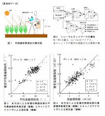 反射光の偏光特性を利用した作物個体群情報の計測方法
