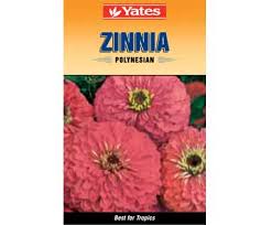 Yates Polynesian Zinnia Flower Seeds Zinnias Polynesian