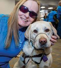 Camille Brunner's Instagram, Twitter & Facebook