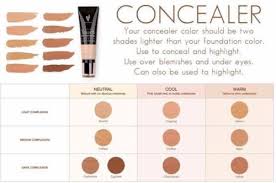 Concealer Color Chart Younique Presenter