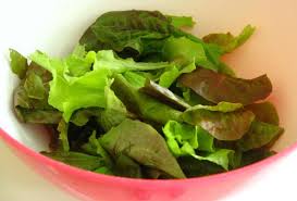 Iceberg lettuce in particular is often derided by its detractors as being watery or bland. How To Use Up Lettuce Other Greens Before They Go Bad Without Making Any Salads Food Hacks Wonderhowto