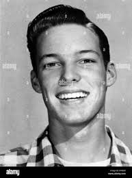 Richard chamberlain portrait hi-res stock photography and images