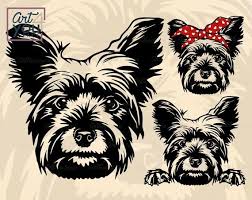 Download Yorkshire Terrier Svg Yorkie Christmas Clipart Dog Svg Etsy In 2021 Yorkshire Terrier Yorkie Terrier