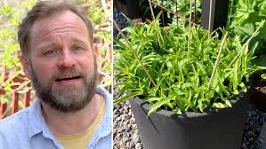 Carolines charmiga stilmix i 40-talsvillan