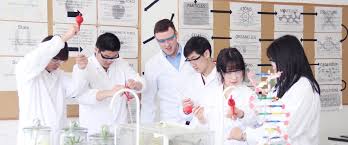 CISK-IB University ProjectCISK-各学部介绍