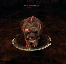Undead Giant Rat Ddo Compendium Giant kangaroo rat rodent nelson's kangaroo rat heermann's kangaroo rat, flea png clipart. ddo compendium