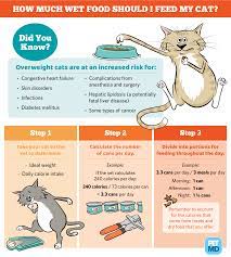 Let's use the rule of paw calculation. How To Calculate How Much Wet Food To Feed A Cat Petmd