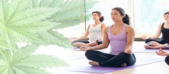 06/07/17 men's tantric yoga this friday. Regular Yoga Class In Las Vegas Turned Into Weed Yoga Classes Leafedout