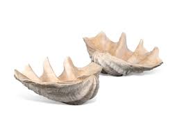 Check spelling or type a new query. A Pair Of Giant Clam Shells Tridacna Gigas Probably Early 20th Century Christie S