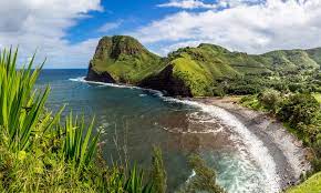 The process took 2 weeks. Honolulu Hi Senior Living Near Downtown The Care Center Of Honolulu