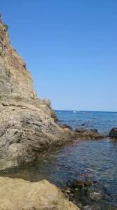 Je les ai rencontré début septembre. Le Sentier Sous Marin De Cerbere Banyuls Picture Of Le Sentier Sous Marin De Cerbere Banyuls Cerbere Tripadvisor