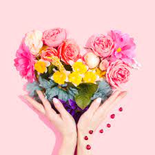Most beautiful flower hd wallpaper image pictures and free download. 500 Flower Images Hq Download Free Flower Pictures On Unsplash