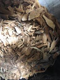 Image result for Tabernanthe elliptica