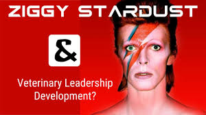 Leveraging Generative AI to Reduce Burnout in Veterinary Professionals: A  Use Study with ChatGPT4-o