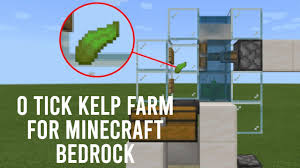 A player eating dried kelp. 0 Tick Kelp Farm For Minecraft Bedrock Very Fast Tutorial Youtube