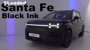 Image result for Phantom Black 2024 Santa Cruz