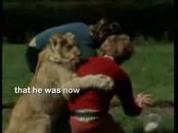 Christian The Lion Dead 1984 2009 R I P You Will Be In Our Hearts 4 Ever Christian Lion Animals
