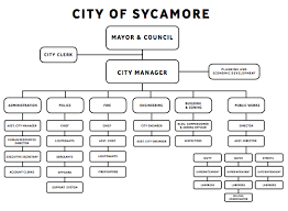 53 expert public administration organization chart