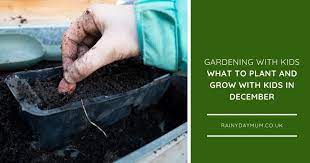 What To Vegetables And Flowers To Plant With Kids In December Gardening For Kids Gardening For Beginners Easy Garden
