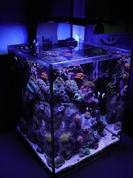 25 Awesome Aquariums You Wish You Owned Aquarium Design Fish Tank Kitchen Design Color