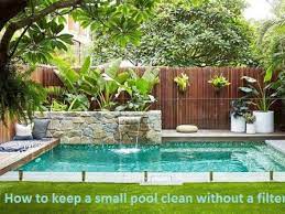 Rinse any loose debris from filter cartridge. How To Keep A Small Pool Clean Without A Filter Poolcleanerlab