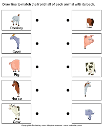 Parts of the body worksheet 1. Body Parts Of Animals Worksheet Turtle Diary