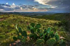 14.6 acres of land for sale in fort davis, texas highway 17, fort davis, tx 79734. Fort Davis Tx Land For Sale 102 Listings Landwatch