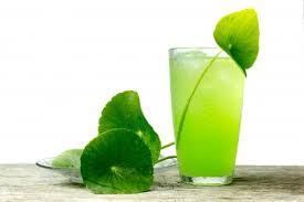 When the button is green, targeting cookies. Incredible Hulk Drink Recipes Lovetoknow