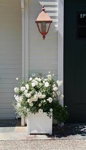 Find recommended itineraries, events information and more to plan your next vacation. White Roses White Classic Container Traditional Landscape Santa Barbara By Donna Lynn Landscape Designer Houzz