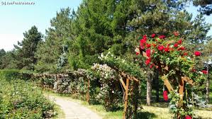 6a, galati, romania, galati, 800340, romania. In Vizita La Gradina Botanica Anastasie Fatu Iasi Impresii La Pas Prin Gradina BotanicÄƒ IaÈ™i Amfostacolo